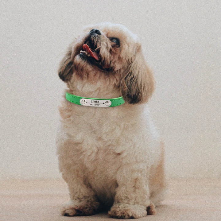 Custom Leather Collar for Dogs and Cats – Padded Comfort with Engraved Name & Phone Number