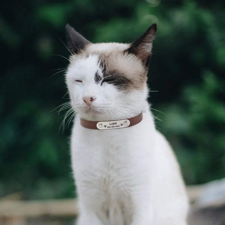 Custom Leather Collar for Dogs and Cats – Padded Comfort with Engraved Name & Phone Number