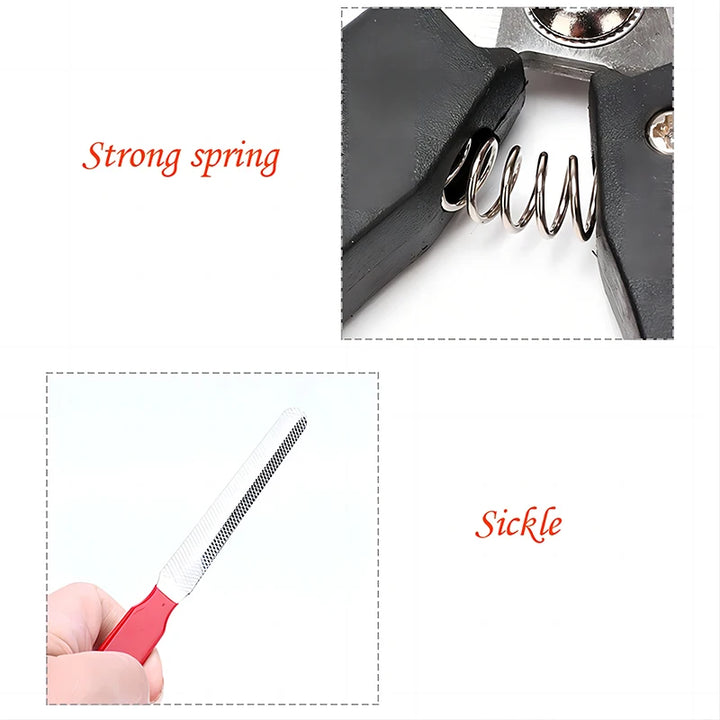Stainless Steel Dog Nail Clipper – Safe and Precise Trimming