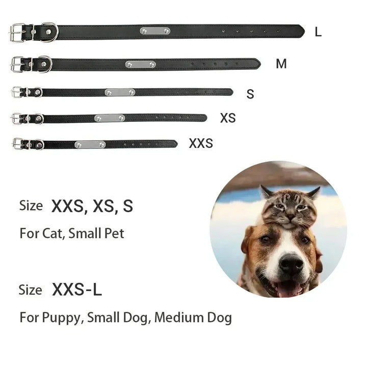 Custom Leather Collar for Dogs and Cats – Padded Comfort with Engraved Name & Phone Number
